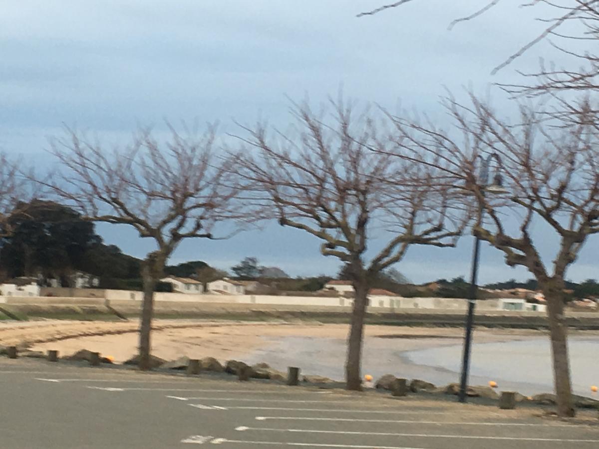 La Petite Maison Sur L'Ile De Re La Flotte Bagian luar foto